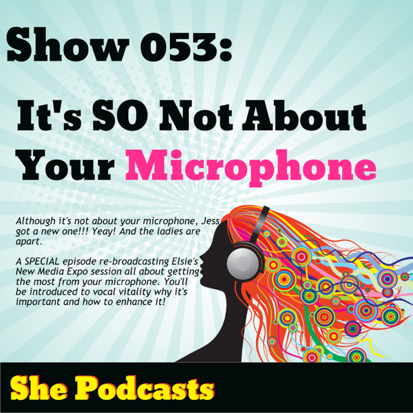 053 Its SO Not About Your Microphone