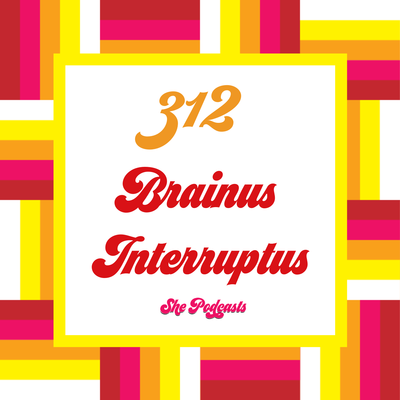 312 Brainus Interruptus